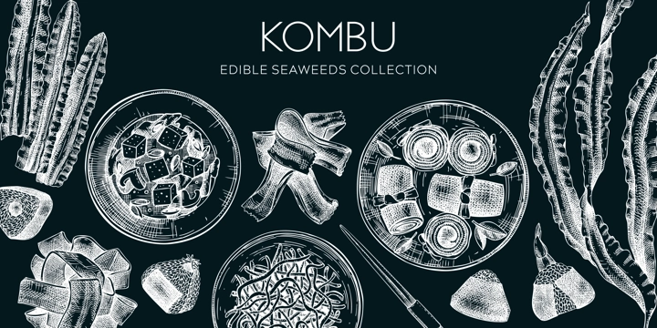 Hand-drawn Kombu banner design. Edible seaweed drawings on chalkboard. Sea vegetable illustrations. Healthy food vector background. Japanese cuisine. Trendy restaurant menu template